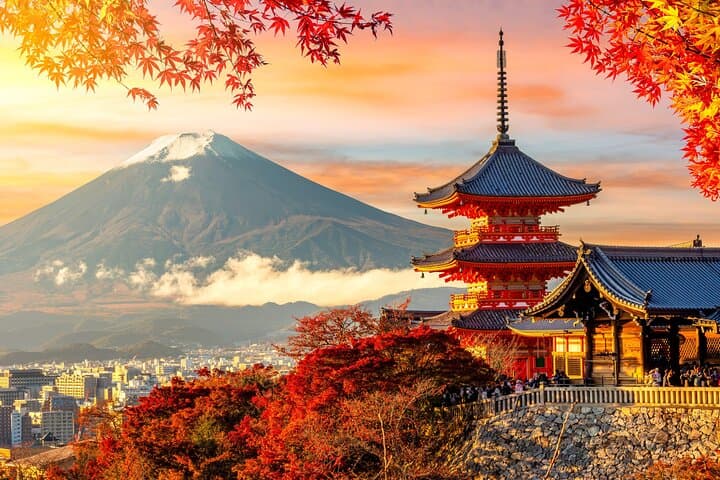 Kyoto MegaPass: Top Attractions incl. Public Transport — photo 11