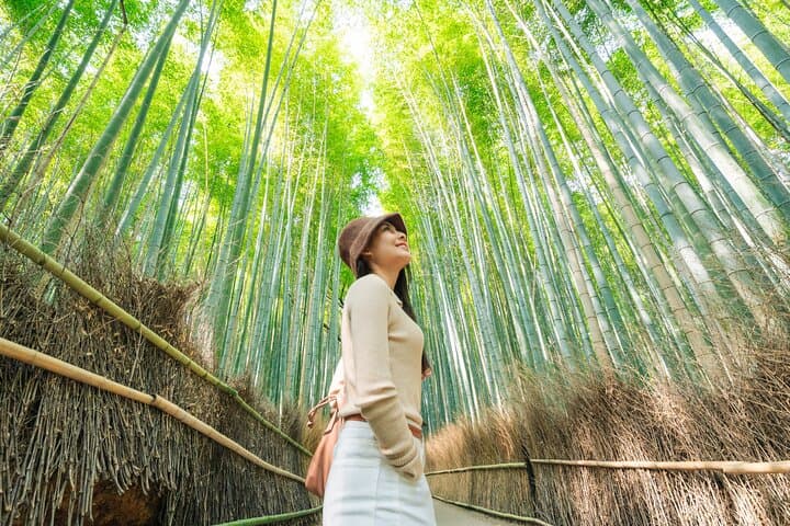 Kyoto MegaPass: Top Attractions incl. Public Transport — photo 12