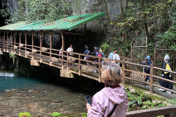 Yamaguchi Highlights and Scenic Wonders Tour from Shimonoseki — photo 12