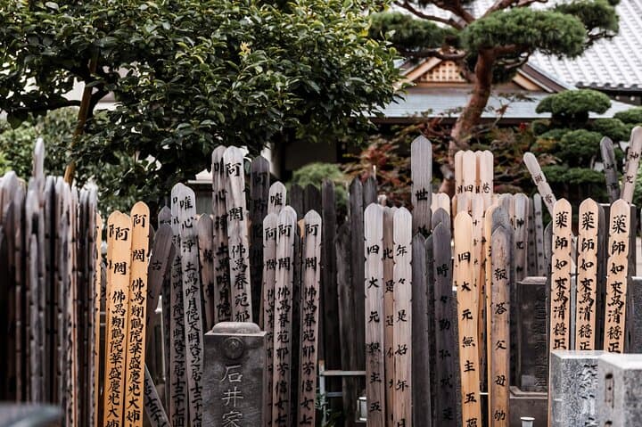 Tokyo History Tour - Private & Personalized with a Local Guide — photo 5