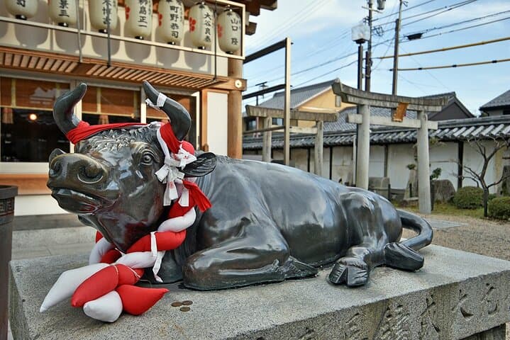 Explore Hidden Sites in Kyoto with Private Transportation — photo 5