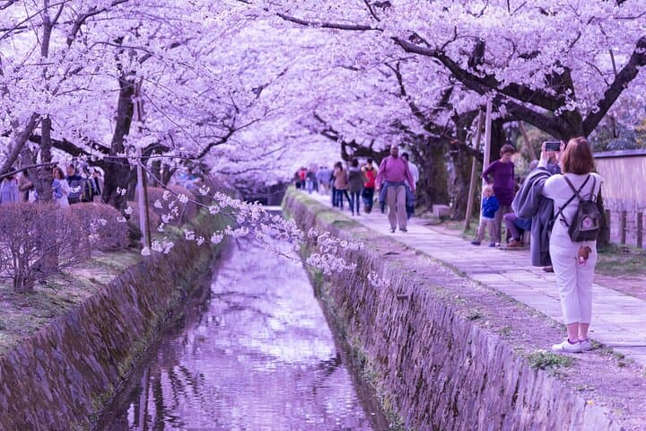 Explore Hidden Sites in Kyoto with Private Transportation — photo 6