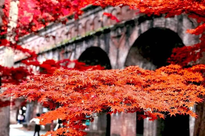 Explore Hidden Sites in Kyoto with Private Transportation — photo 9