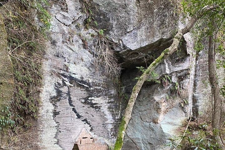 Mt Nokogiri Adventure A Guided Hike on the Boso Peninsula — photo 13