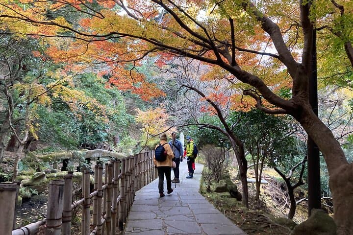Mt Nokogiri Adventure A Guided Hike on the Boso Peninsula — photo 18