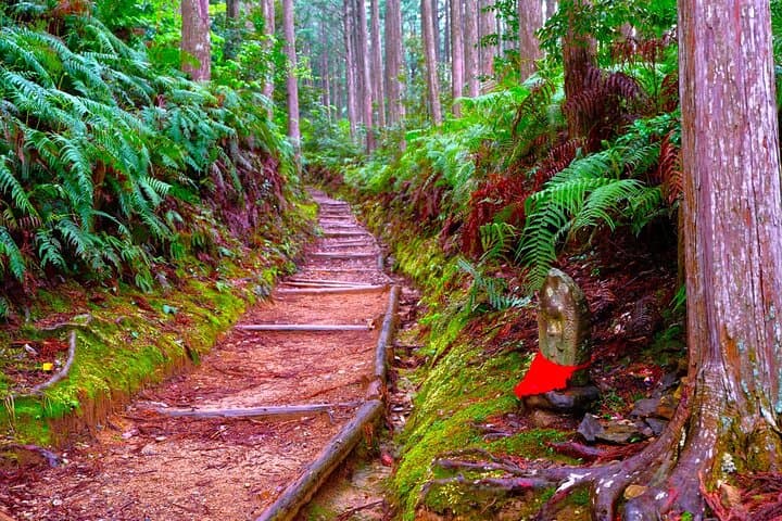 Wakayama: Walk the Kumano Kodo to Kumano Hongu Taisha