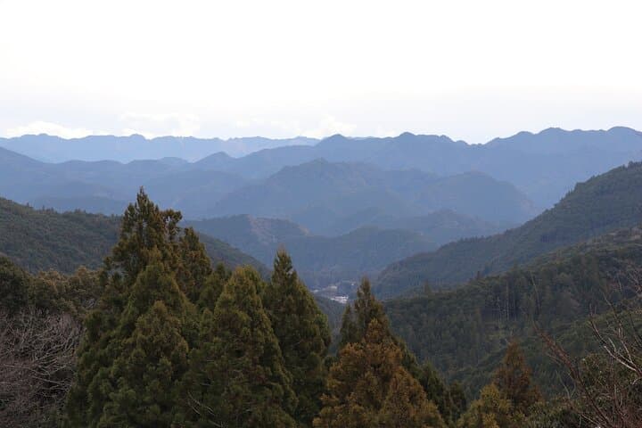 Wakayama: Walk the Kumano Kodo to Kumano Hongu Taisha — photo 12