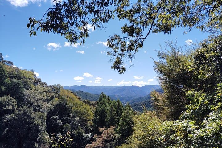 Wakayama: Walk the Kumano Kodo to Kumano Hongu Taisha — photo 5