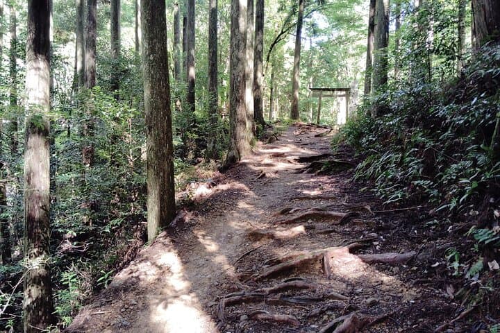 Wakayama: Walk the Kumano Kodo to Kumano Hongu Taisha — photo 13