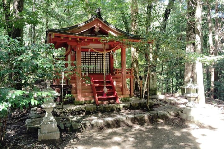 Wakayama: Walk the Kumano Kodo to Kumano Hongu Taisha — photo 4