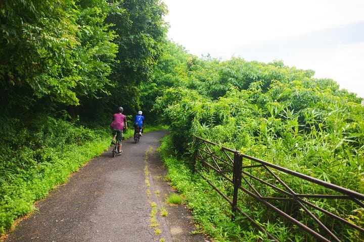 Seto Inland Sea Views & Kojima Denim: Private Cycling Tour — photo 10
