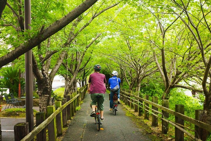 Seto Inland Sea Views & Kojima Denim: Private Cycling Tour — photo 9