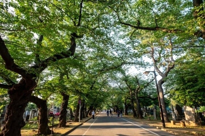 Yanaka & Nezu Walking Tour -Discover The Edo Spirit- — photo 8