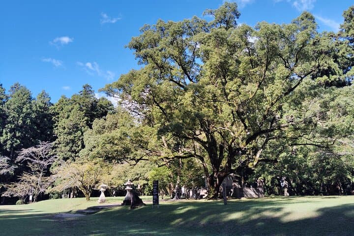 Wakayama: Legends and Purification at Kumano Hongu Shrine — photo 11