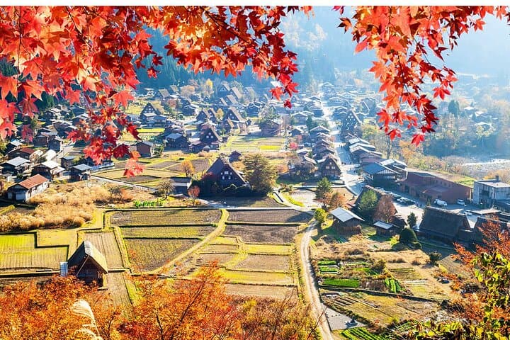 Hida Takayama and Shirakawa-go Gassho Village World Heritage Tour — photo 6