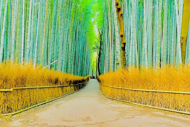Kyoto and Nara Highlights with English speaking Driver and Guide — photo 2