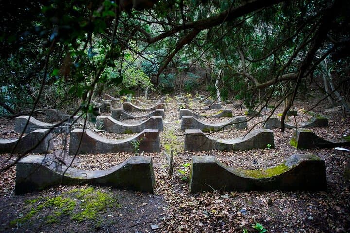 Private Okunoshima Rabbit Island Cycling Tour with Local Guide — photo 12
