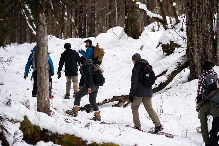 Snowshoeing and Coffee Tour in Takayama — photo 6