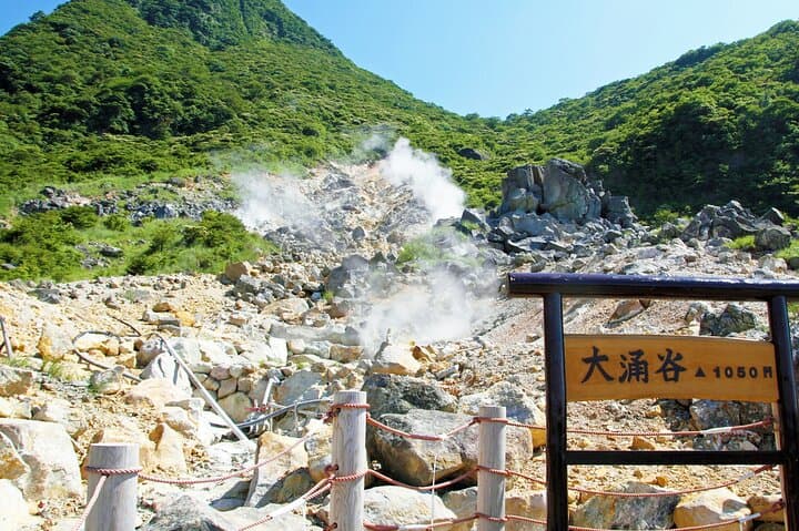 Tokyo: Mt. Fuji Cruise & Hakone Ropeway Day Trip by Bus — photo 19