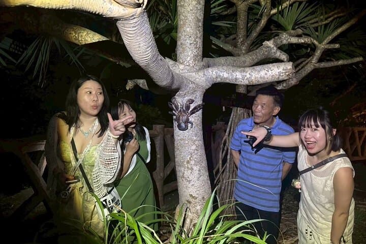Okinawa Miyako Jungle&Starry Sky tour Free Pick up and Drop off — photo 6