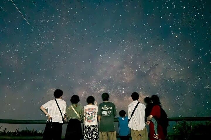 Okinawa Miyako Jungle&Starry Sky tour Free Pick up and Drop off — photo 15