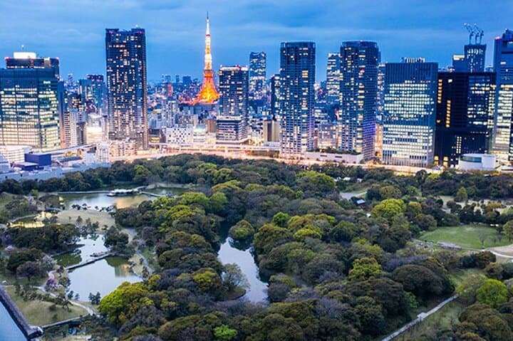 Private and Customisable Tokyo Tour with English-Speaking Driver — photo 12