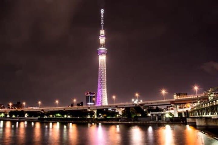 Private Tokyo Tour with English Speaking Driver — photo 4