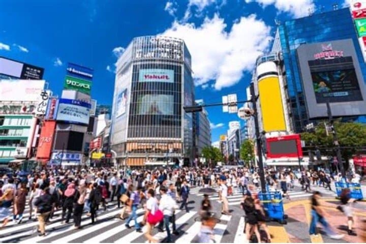 Private Tokyo Tour with English Speaking Driver — photo 17