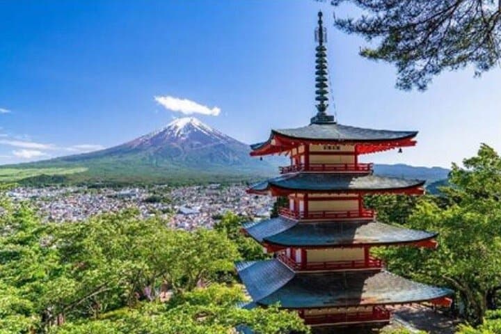 Private Mt Fuji Tour with English Speaking Driver — photo 2