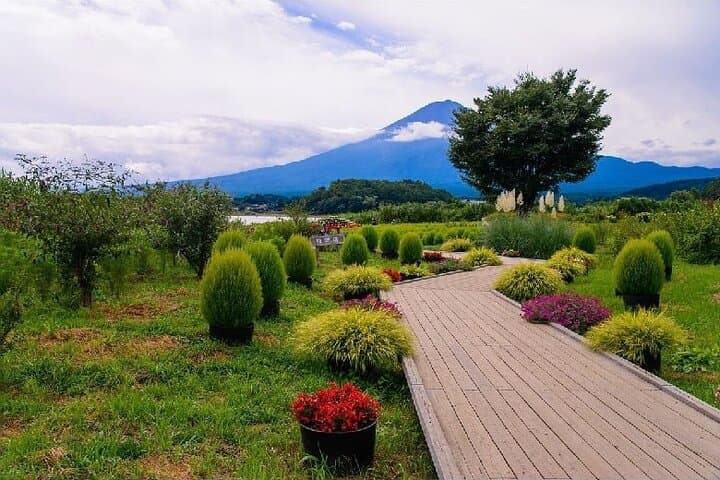 Private Mt Fuji Tour with English Speaking Driver — photo 5