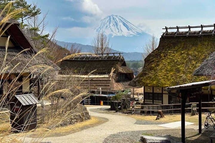 Private Mt Fuji Tour with English Speaking Driver — photo 7