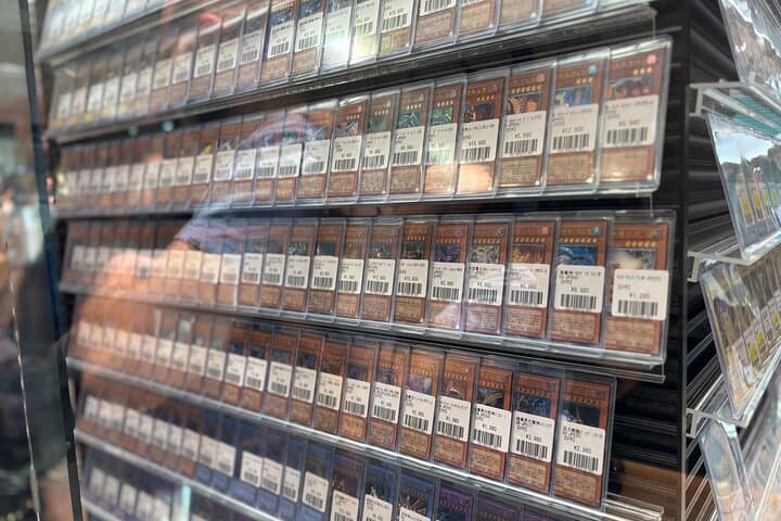 Akihabara Anime and Otaku Culture Experience Tour — photo 7