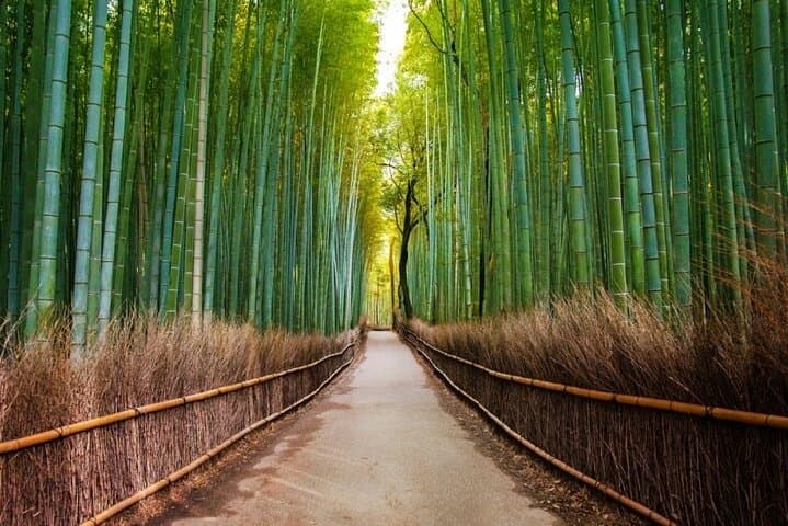 Kyoto&Nara Day Tour | English Guide & Private Vehicle — photo 13