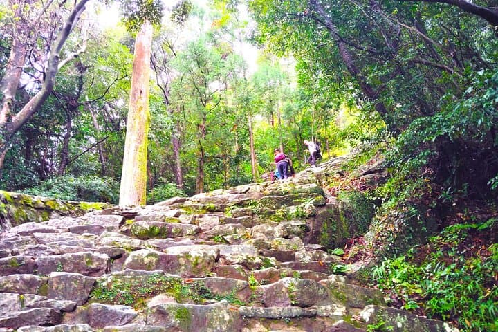 Wakayama: Sacred Journey to Kumano Hayatama and Kamikura — photo 3