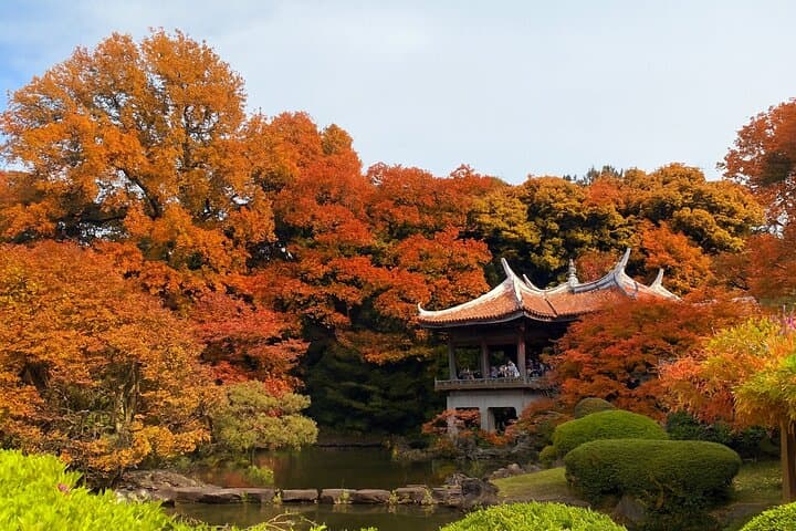Discover the History of Shinjuku Gyoen – Private Walking Tour — photo 1