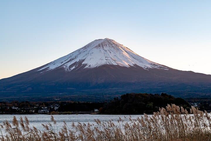 Mt. Fuji 5th Popular Spots & Sagamiko Illumination Tour fr Tokyo — photo 10