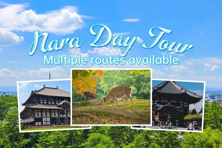 From Osaka, Nara Private Customizable Day Tour
