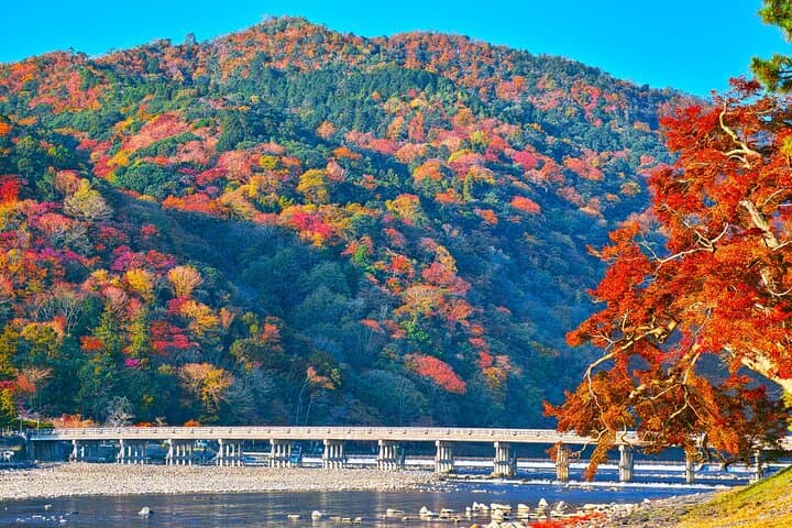 Kyoto Arashiyama Bamboo Walk & Relaxing Flower Foot Bath Massage — photo 4