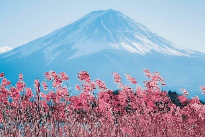Mount Fuji and Gotemba Outlets Adventure Day Tour — photo 3