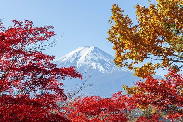 Mount Fuji and Gotemba Outlets Adventure Day Tour — photo 6