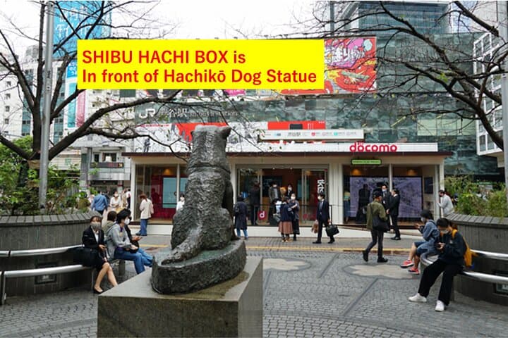 Tokyo Shibuya Skincare & Makeup J-Beauty Walking Tour — photo 3