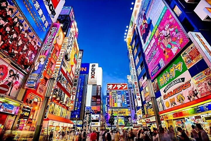 Tokyo Private Tour with English Speaking Driver Customizable — photo 1