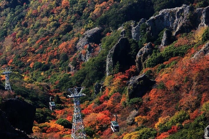 1 Day Shodoshima Island Bus Tour — photo 10