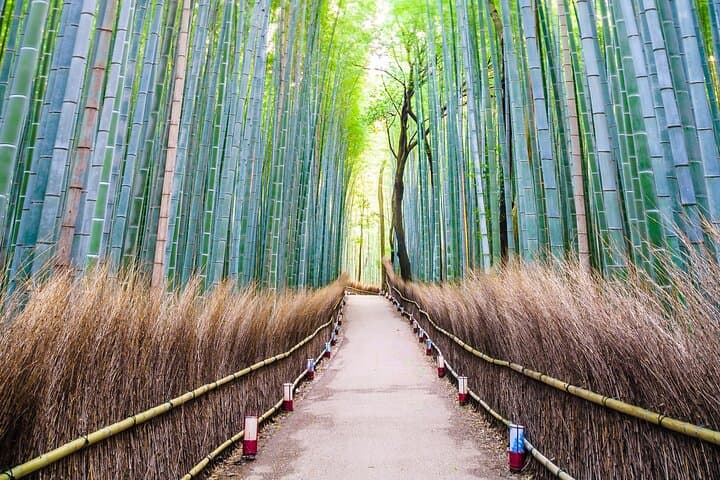 Kyoto:Private Highlights Tour with English Guide & Hotel Pickup — photo 4