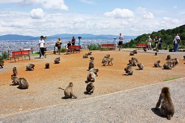 Kyoto:Private Highlights Tour with English Guide & Hotel Pickup — photo 10