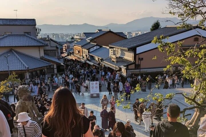 Kyoto tour: 3 Photogenic Sites from Nagoya with Lunch — photo 9