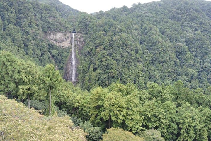 Wakayama: Kumano Nachi Taisha, Seiganto-ji & Waterfall Tour — photo 10