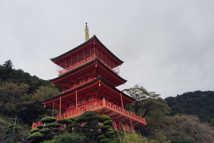 Wakayama: Kumano Nachi Taisha, Seiganto-ji & Waterfall Tour — photo 11