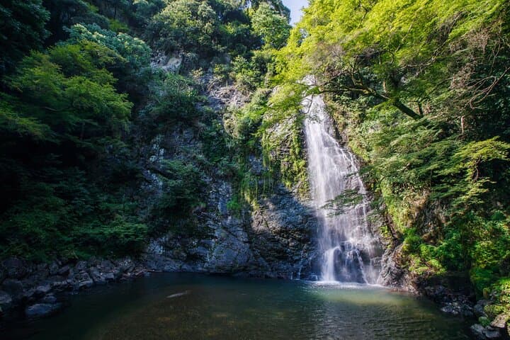 Osaka Minoh Waterfall Nature Walk and Local Craft Beer Tasting — photo 5