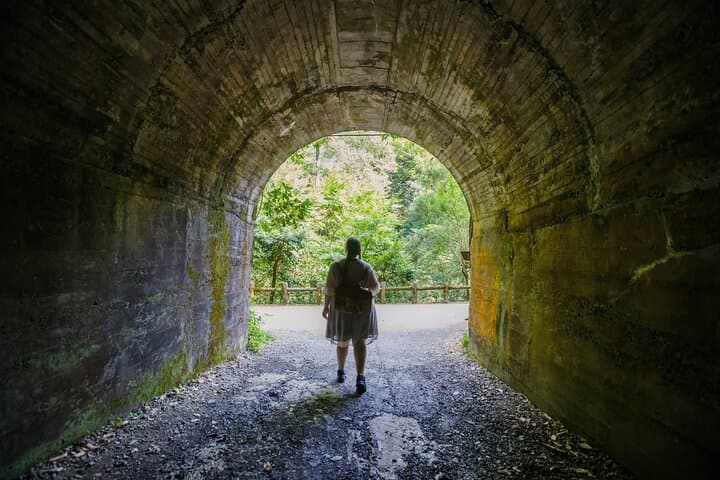 Osaka Minoh Waterfall Nature Walk and Local Craft Beer Tasting — photo 8